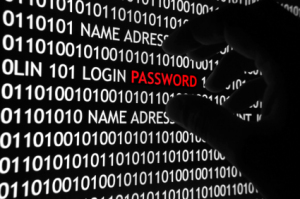 wordpress security password, online security 