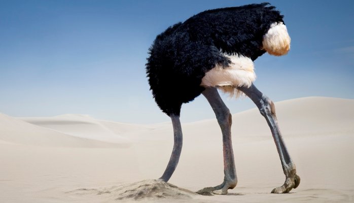 ostrich problem